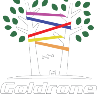 https://www.filenvol.com/wp-content/uploads/2018/12/logo_goldrone_valid4_COLOR_White-320x320.png